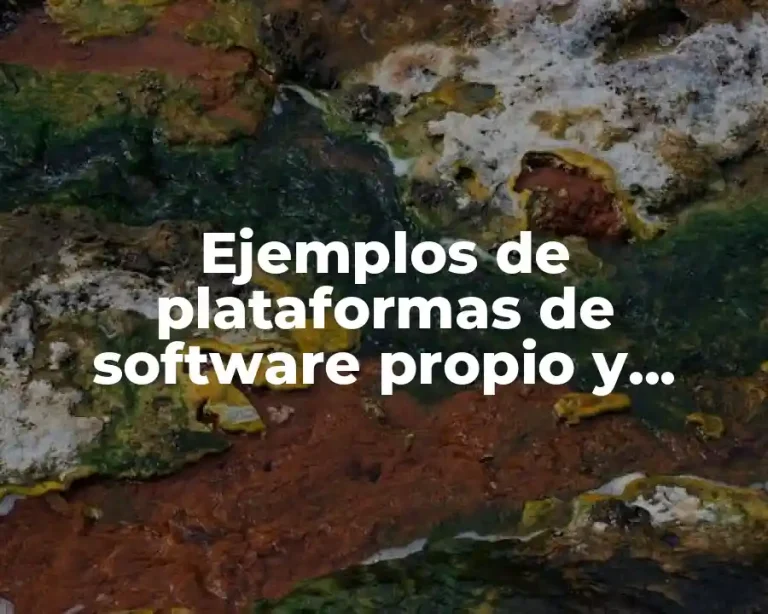 Ejemplos de plataformas de software propio y Significado
