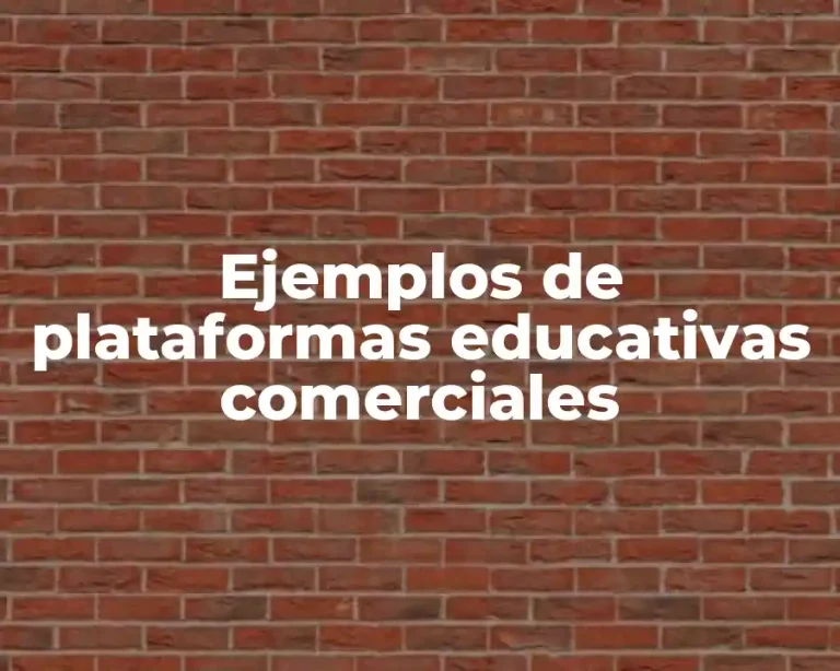 Ejemplos de plataformas educativas comerciales