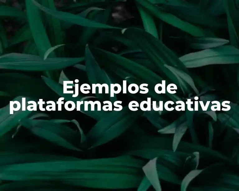 Ejemplos de plataformas educativas