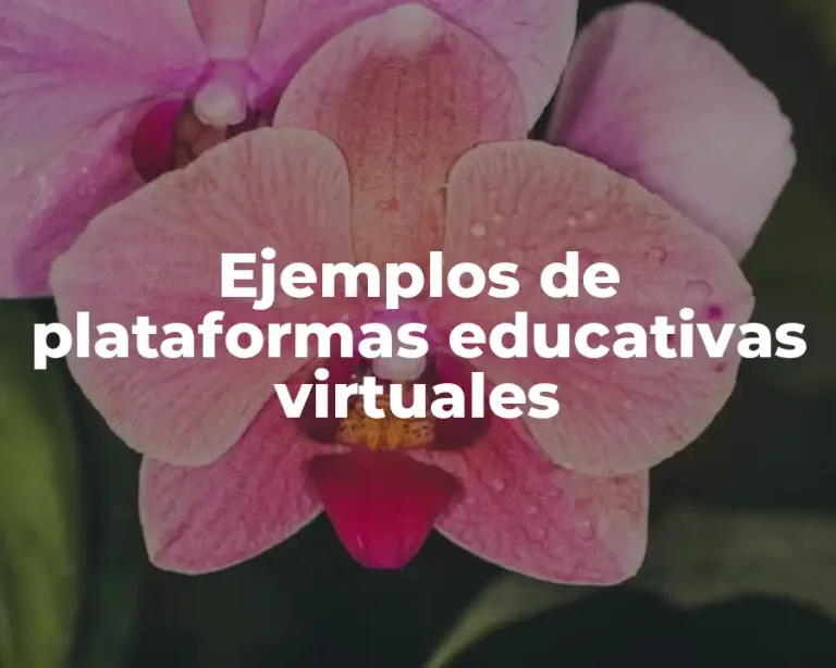 Ejemplos de plataformas educativas virtuales