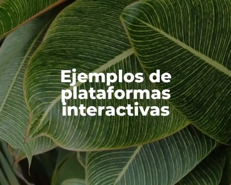 Ejemplos de plataformas interactivas