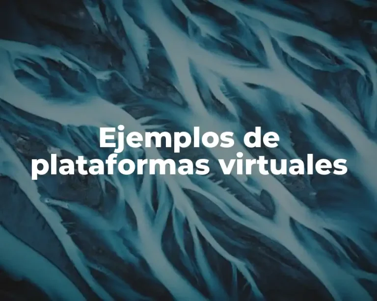 Ejemplos de plataformas virtuales