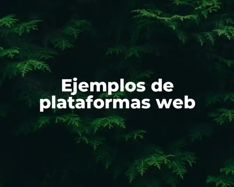 Ejemplos de plataformas web