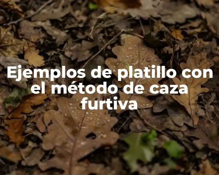 Ejemplos de platillo con el método de caza furtiva