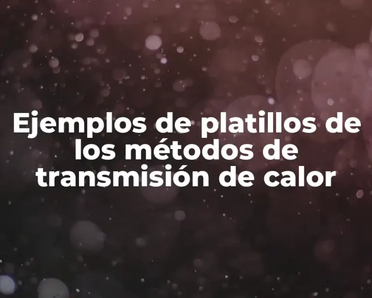 Ejemplos de platillos de los métodos de transmisión de calor