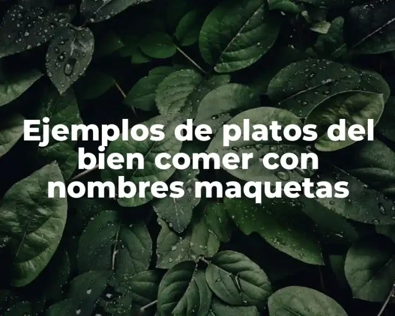 Ejemplos de platos del bien comer con nombres maquetas