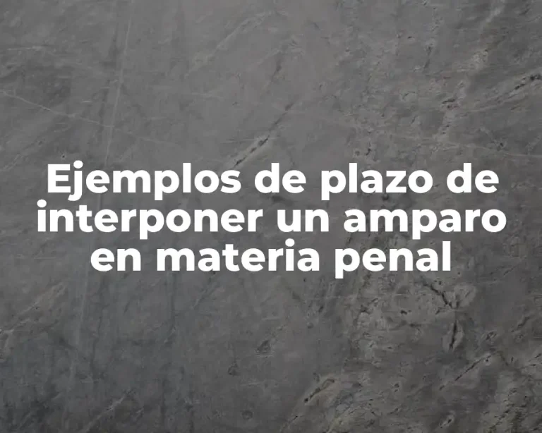Ejemplos de plazo de interponer un amparo en materia penal
