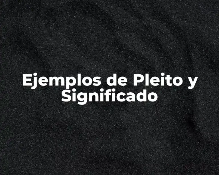 Ejemplos de Pleito y Significado