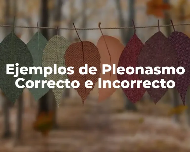 Ejemplos de Pleonasmo Correcto e Incorrecto