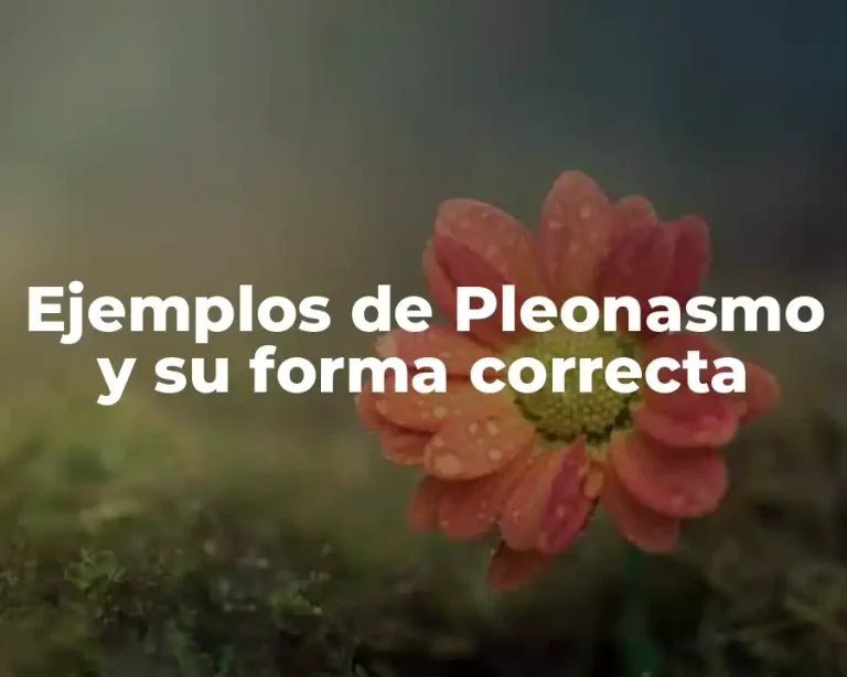 Ejemplos de Pleonasmo y su forma correcta