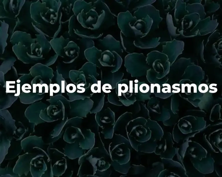 Ejemplos de plionasmos