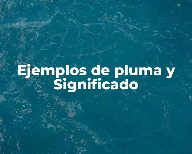 Ejemplos de pluma y Significado