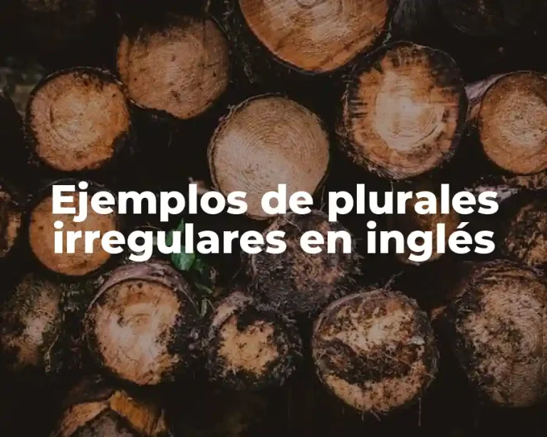 Ejemplos de plurales irregulares en inglés