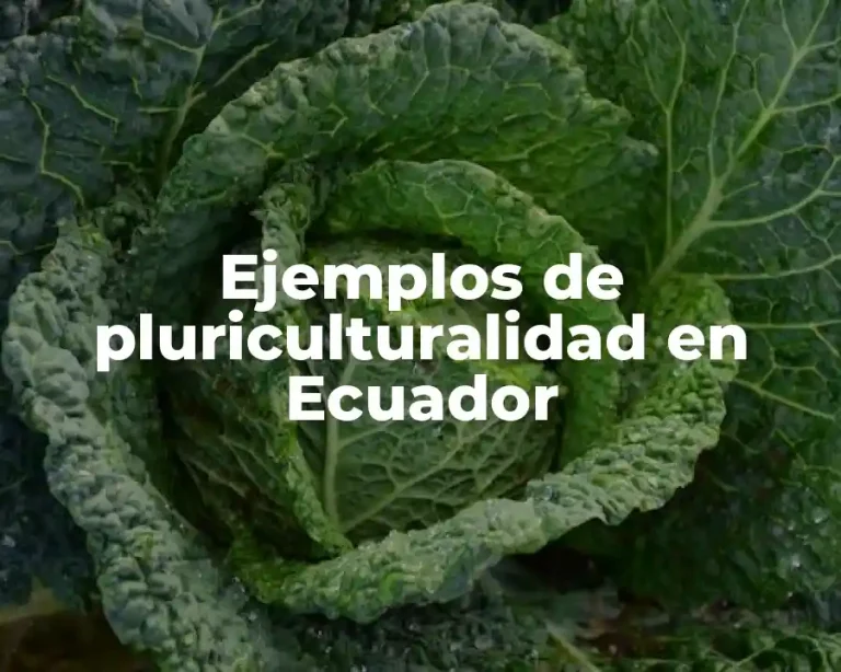 Ejemplos de pluriculturalidad en Ecuador