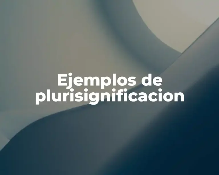 Ejemplos de plurisignificacion