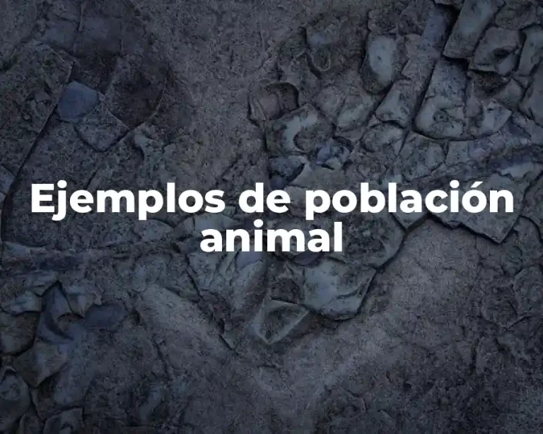 Ejemplos de población animal