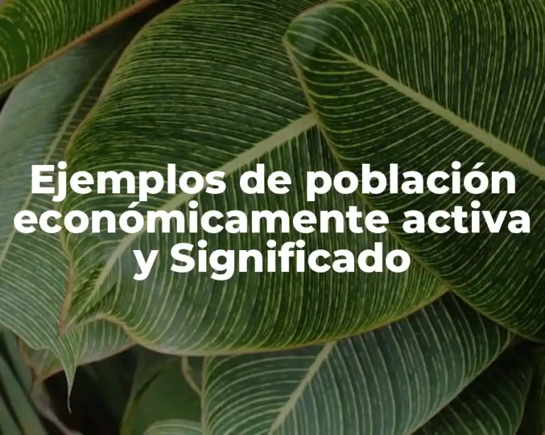 Ejemplos de población económicamente activa y Significado