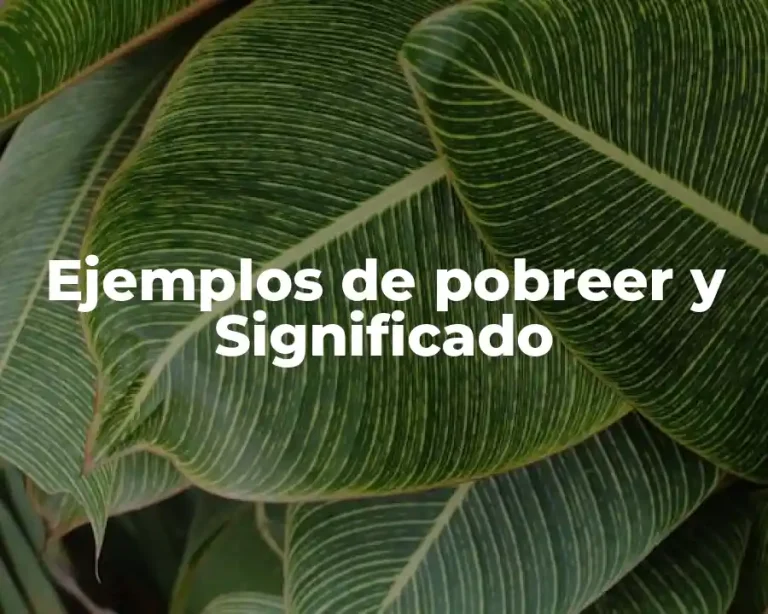Ejemplos de pobreer y Significado