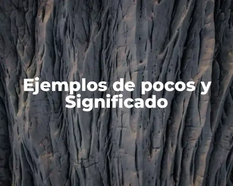 Ejemplos de pocos y Significado