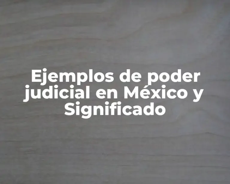 Ejemplos de poder judicial en México y Significado