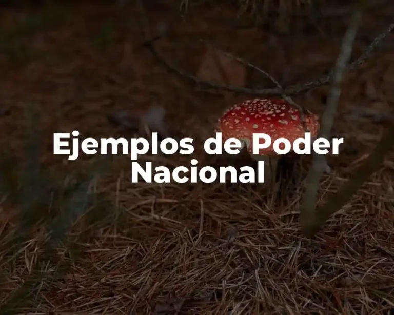 Ejemplos de Poder Nacional