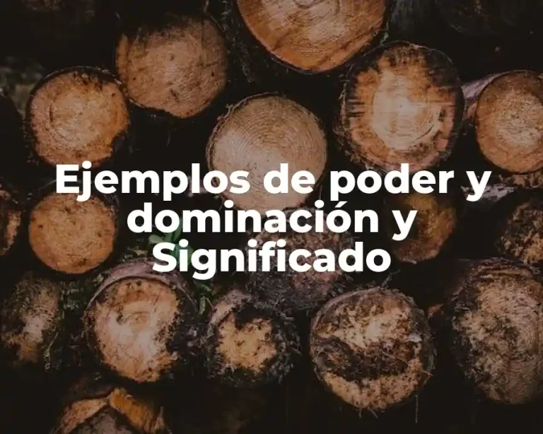 Ejemplos de poder y dominación y Significado