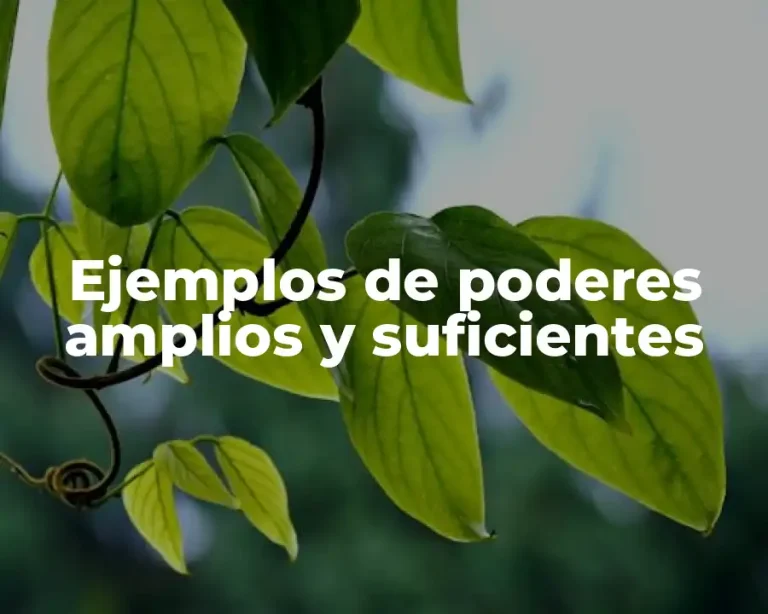 Ejemplos de poderes amplios y suficientes