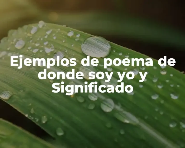 Ejemplos de poema de donde soy yo y Significado
