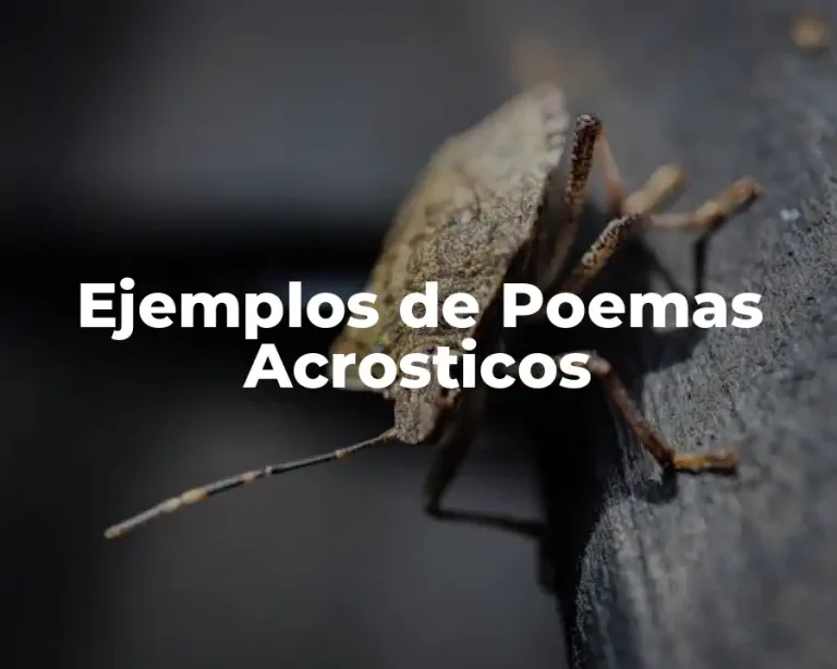Ejemplos de Poemas Acrosticos