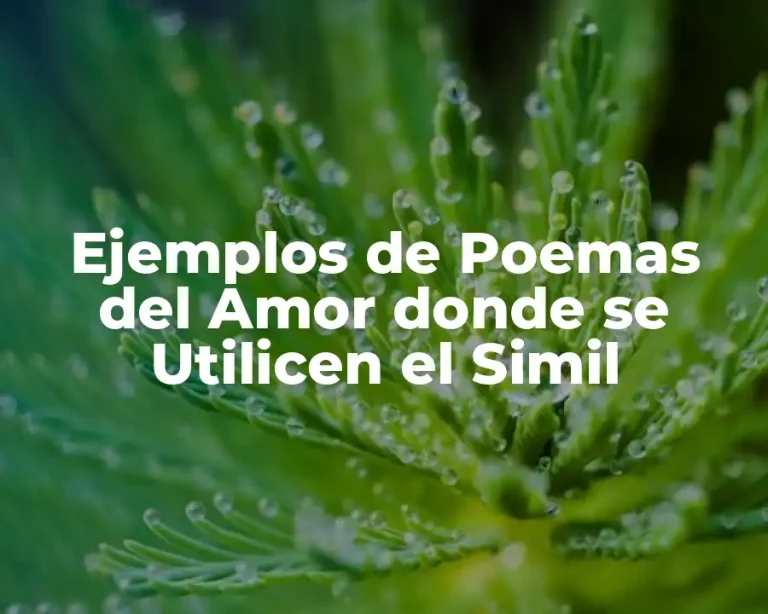 Ejemplos de Poemas del Amor donde se Utilicen el Simil