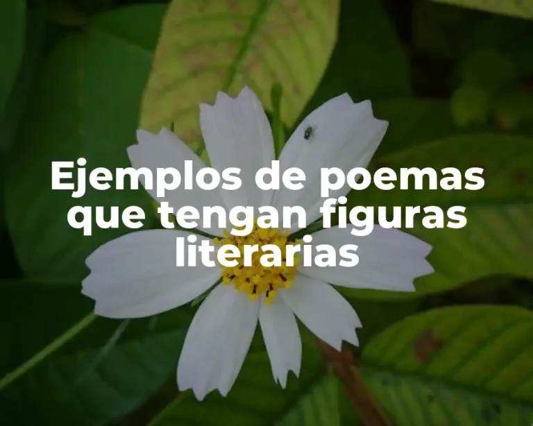 Ejemplos de poemas que tengan figuras literarias