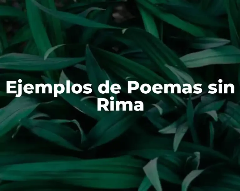 Ejemplos de Poemas sin Rima