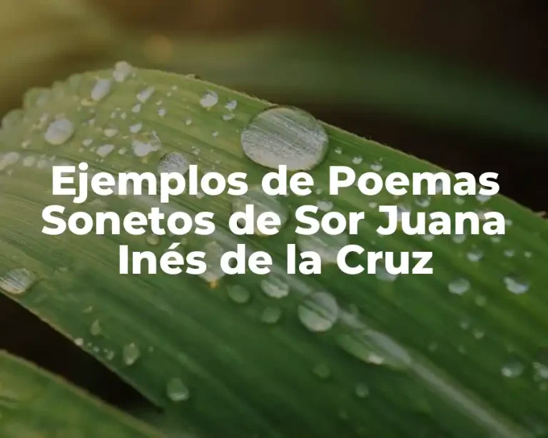 Ejemplos de Poemas Sonetos de Sor Juana Inés de la Cruz