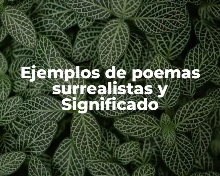 Ejemplos de poemas surrealistas y Significado