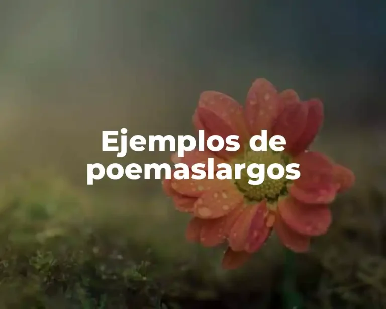 Ejemplos de poemaslargos