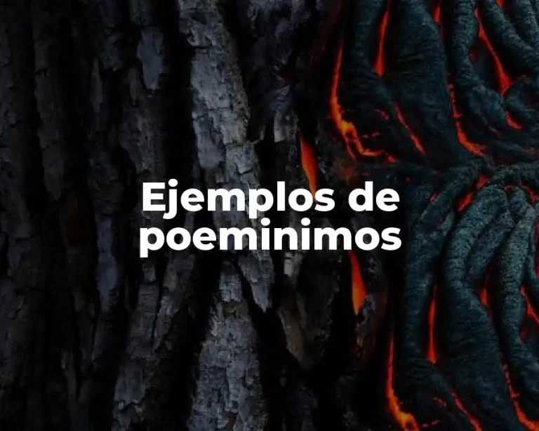 Ejemplos de poeminimos