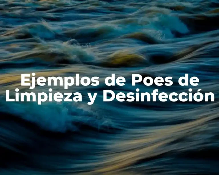 Ejemplos de Poes de Limpieza y Desinfección