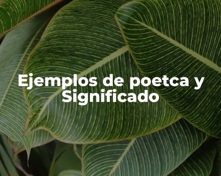 Ejemplos de poetca y Significado