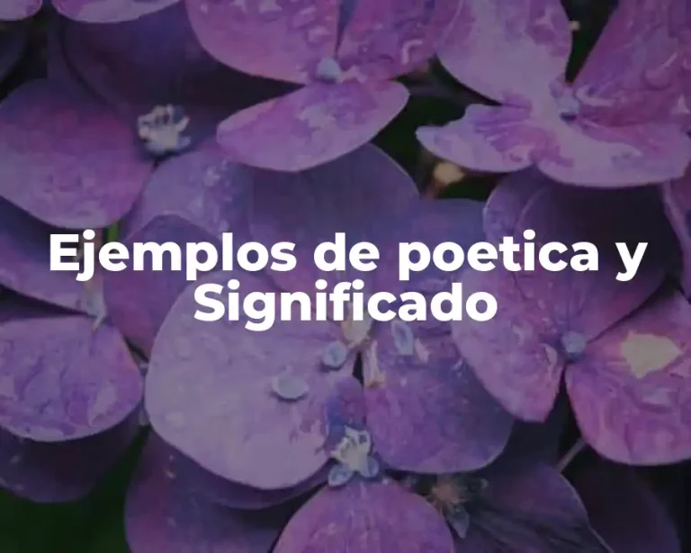 Ejemplos de poetica y Significado