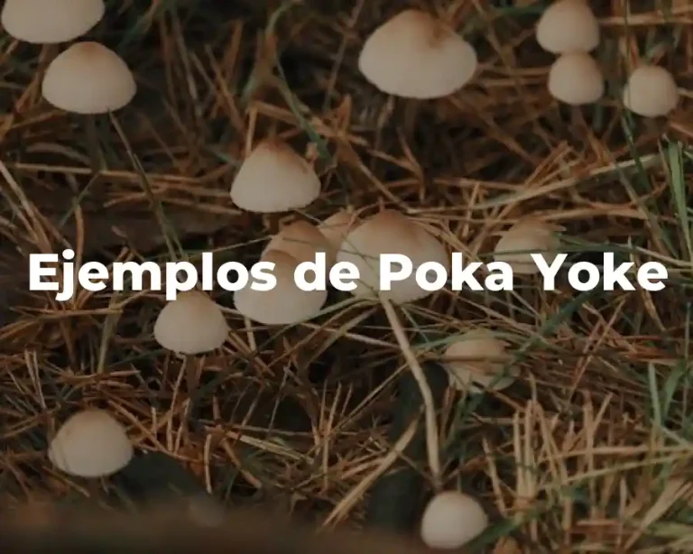 Ejemplos de Poka Yoke