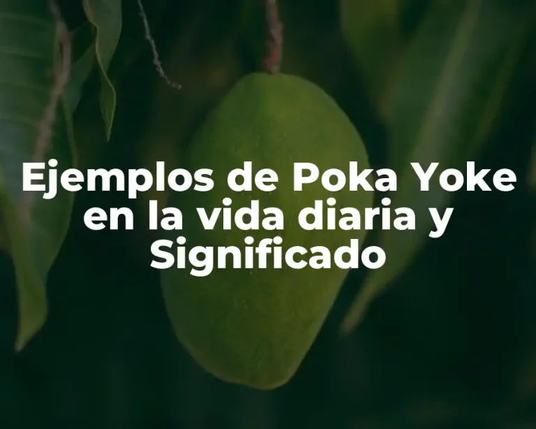 Ejemplos de Poka Yoke en la vida diaria y Significado