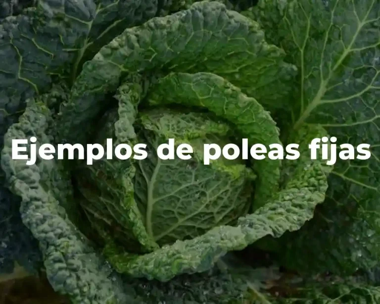 Ejemplos de poleas fijas