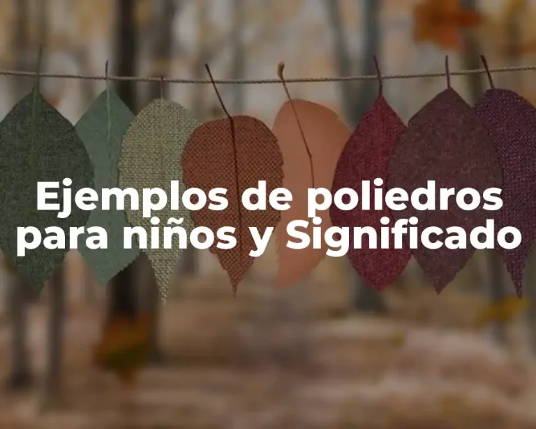 Ejemplos de poliedros para niños y Significado