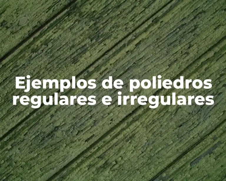 Ejemplos de poliedros regulares e irregulares