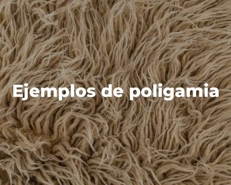 Ejemplos de poligamia