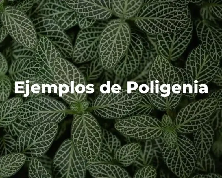 Ejemplos de Poligenia