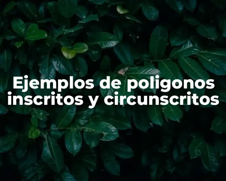Ejemplos de poligonos inscritos y circunscritos