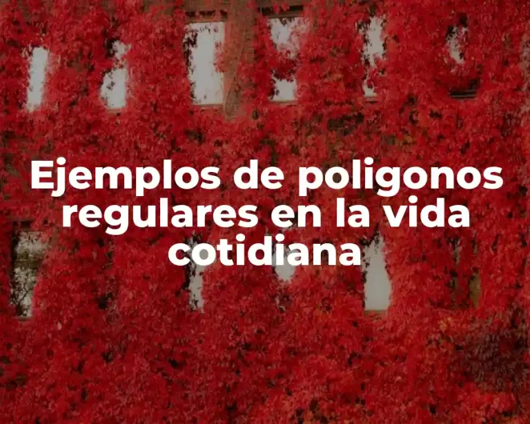 Ejemplos de poligonos regulares en la vida cotidiana