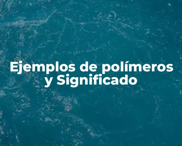Ejemplos de polímeros y Significado