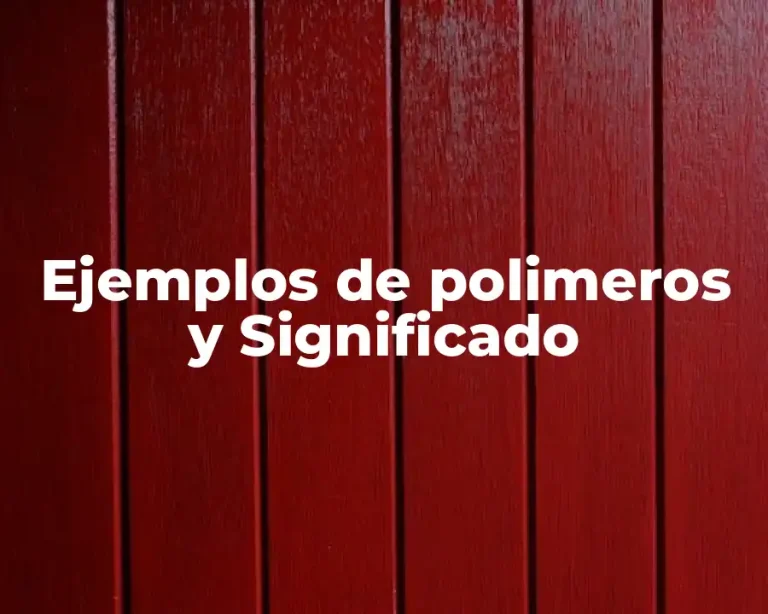 Ejemplos de polimeros y Significado